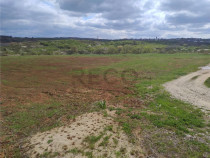 RECO Teren intravilan, Paleu