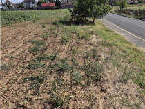 Reco Teren Extravilan Episcopia aproape de Remarkt