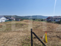 Teren intravilan 1 Ha si 42 Ari, zona Viisoara