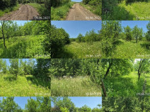 Teren extravilan, loc. Bobohalma, jud. Mures