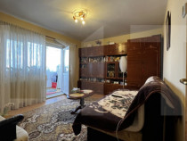 Apartament cu o cameră Buziașului