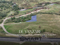 Teren 600mp pe Valea Avrigului