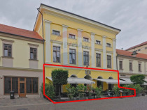 De v&acirc;nzare &mdash; Spațiu comercial parter 409 mp, Vasile A...