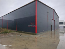 Depozit/hala/spatiu industrial Theodor Pallady - Gara Catel