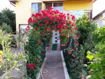 Casă / Vilă in Teis, Bals