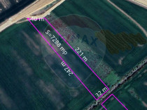 Teren intravilan 7288 mp, Bragadiru