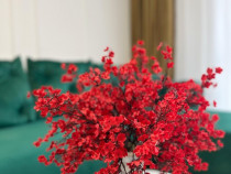 || PASARELA BERCENI || Garsoniera ideală de investiție