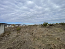 Domnești, Drumul T&acirc;rgului, teren 1876 mp, 66ml x 28 ml, ut