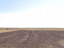 Teren extravilan cota parte 3/16 Amaru, ID: R2764932