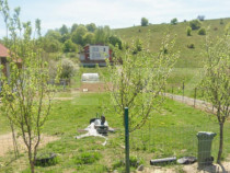 Teren intravilan 1696 mp, central, Salicea!