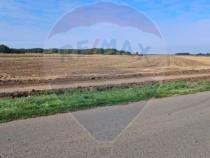 Teren 21,177mp Santaul Mic / Strada -