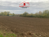 Teren cu casa de vanzare in Randunica (Mihail Kogalniceanu) Tulcea!