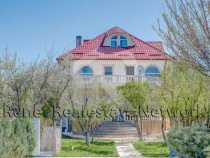 O Poveste de Vis pe Malul Lacului Snagov