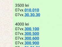 Numar Preferential.Numere Business.Aur.Gold.Vip_07xy_91_91_91_Vodafone