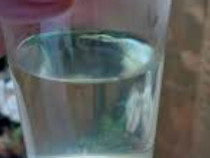 Tuica de prune, productie proprie