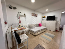 Apartament cu o camera, centrala proprie, AC, zona Lipovei
