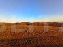 Teren extravilan potrivit pentru investitie