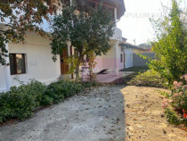 Vila P+1 Chiajna- Rosu.