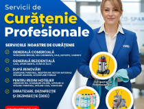 Servicii profesionale de curățenie & DDD