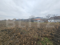 Teren extravilan 9000 mp, Ocna Mureş