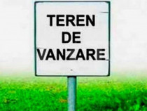 Teren intravilan, 382 mp, Calea Torontalului