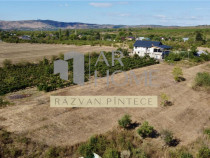 Pensiune 6 camere, teren 12713 mp, Dealul Mare, Urlati, Prah