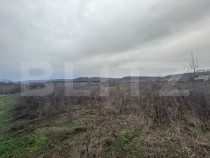 Teren extravilan de vanzare, 10.000 mp - Turcinesti