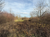 ???? Blitz vă propune spre vânzare – Teren 6.500 mp, Cal