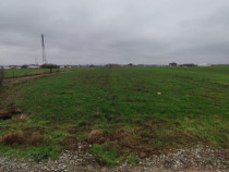 Teren Isanlita INTRAVILAN - 3266 MP - Ideal pentru investiti