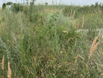 TEREN VIDRA BERCENI 307 MP