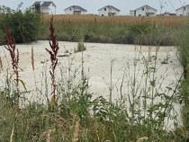 TEREN VIDRA BERCENI 307 MP