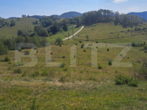 Teren extravilan 4.604 mp cu curent – ideal pentru cabană