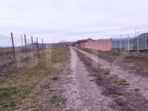 ????️ Oportunitate Unică! Teren Ideal pentru Casă cu Pri