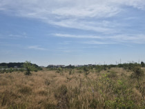 Teren intravilan de v&acirc;nzare in Trivale - zona Magic | 500 m