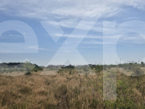 Teren intravilan de v&acirc;nzare in Trivale - zona Magic | 500 m