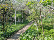 Teren 1166mp, Cartier Grozavesti, deschidere 20m, Rezidential