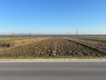 Teren 5000 mp, Valea Mare, Băbeni DN64