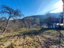 Teren intravilan de v&acirc;nzare &ndash; Vale (Saliste), județul...