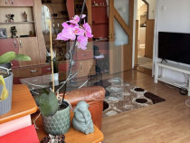 Apartament 2 cam decomandat Craiter