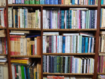 Carti romantice Elizabeth Adler etc.