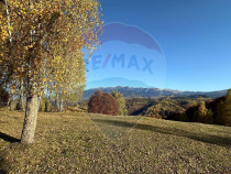 Oportunitate de investiţie ! Teren de vis &icirc;n Pestera - ...