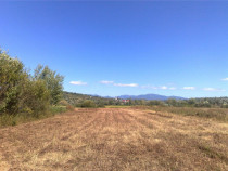 Teren intravilan 55 Ari Sacalaseni strada principala