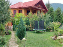 Casa Vacanta Lepsa Vrancea