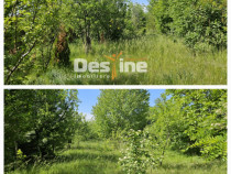 Tomesti-Chicerea, teren intravilan 3523 mp