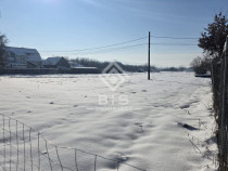 Teren cu suprafata 5300 mp intravilan