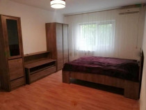 Apartament 1 camera D, in Podul de Fier,