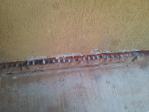 Stopam umiditatea si mucegaiul din pereti la cladiri vechi