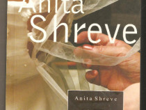 Anita Shreve-Nunta in decembrie