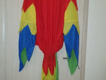 Costum papagal colorat