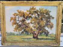 1946 I Balau Tablou Stejarul din Borzesti pictura ulei 42x56